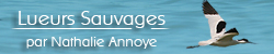 Site magnifique ! A voir !