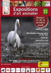 affiche2008.jpg
